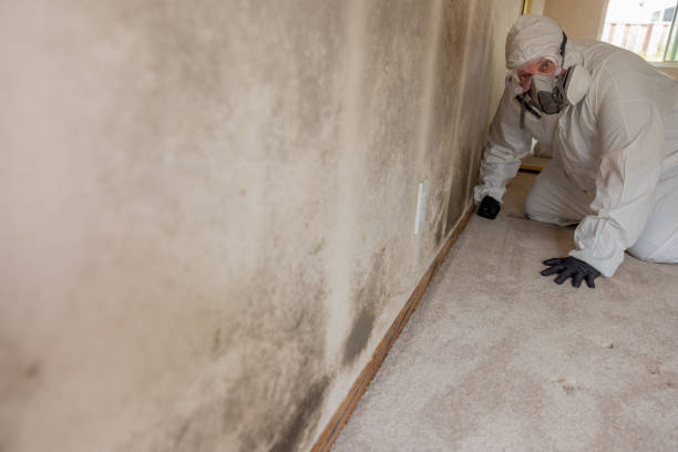 Best Mold Remediation for Vacation Homes  in Bensville, MD
