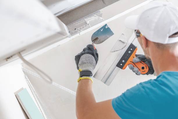 Best Environmental Consulting for Mold Prevention  in Bensville, MD